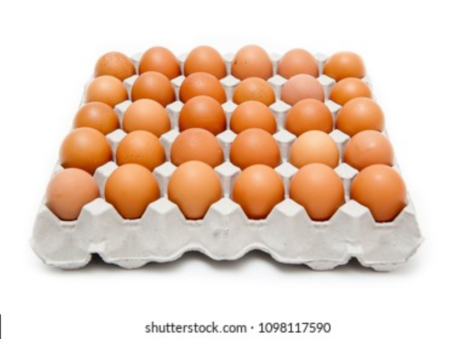 IDEAL EGGS  30'S(SHRINK WRAPPED)